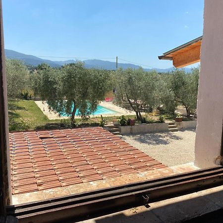 Agriturismo Uliveto Benedetti Spoleto Kültér fotó