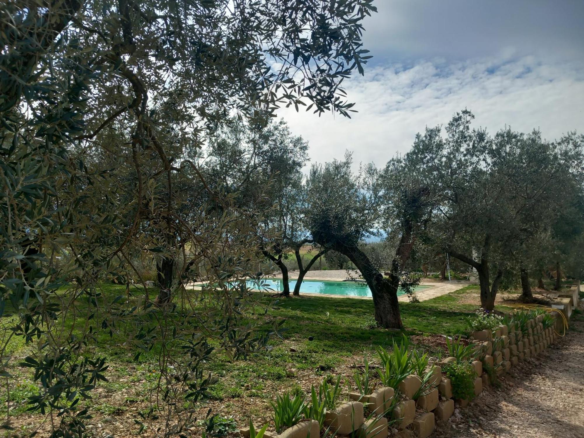 Agriturismo Uliveto Benedetti Spoleto Kültér fotó