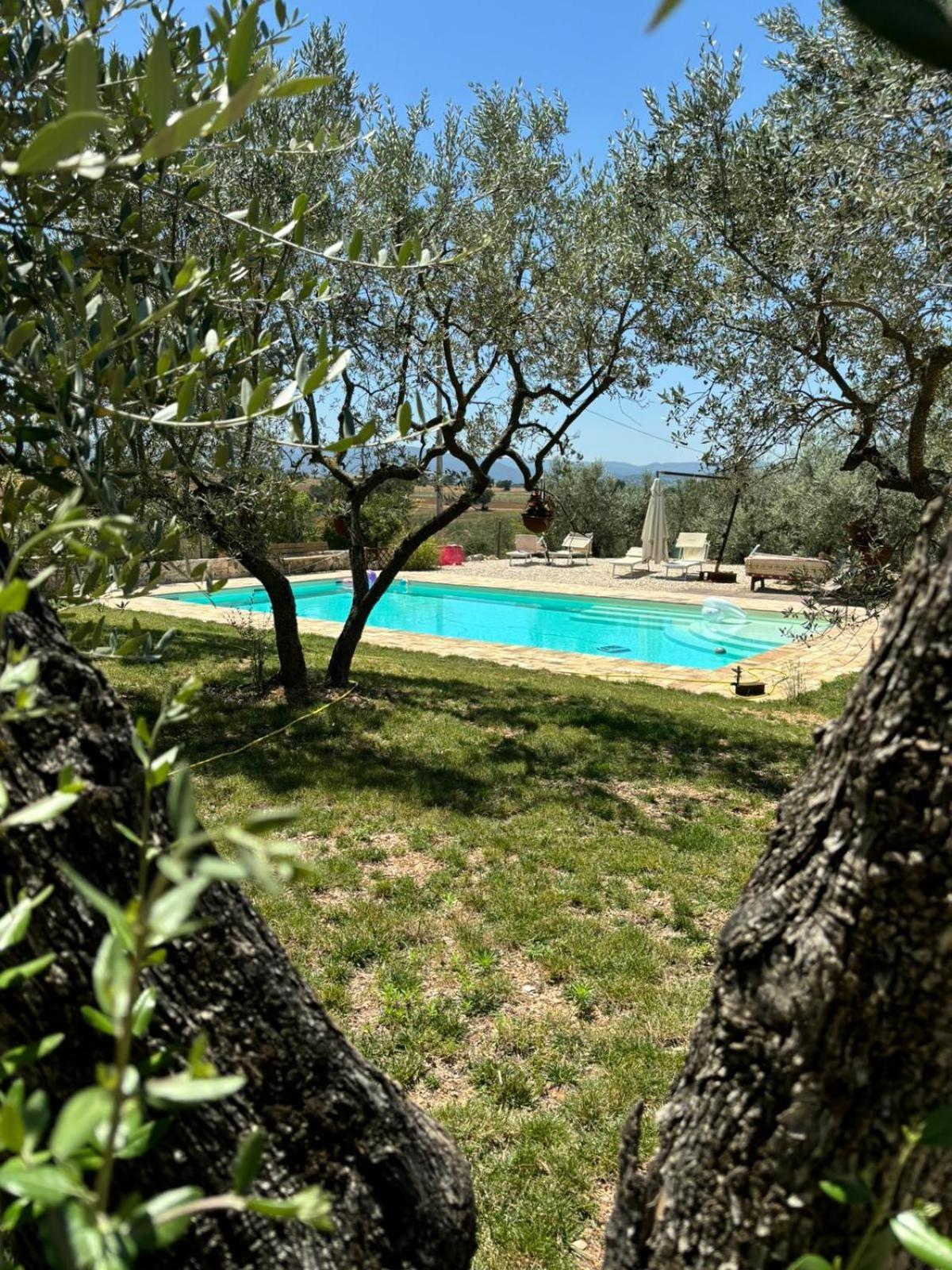 Agriturismo Uliveto Benedetti Spoleto Kültér fotó